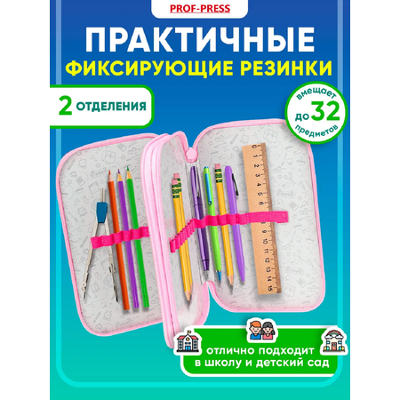 Пенал книжка Prof-Press