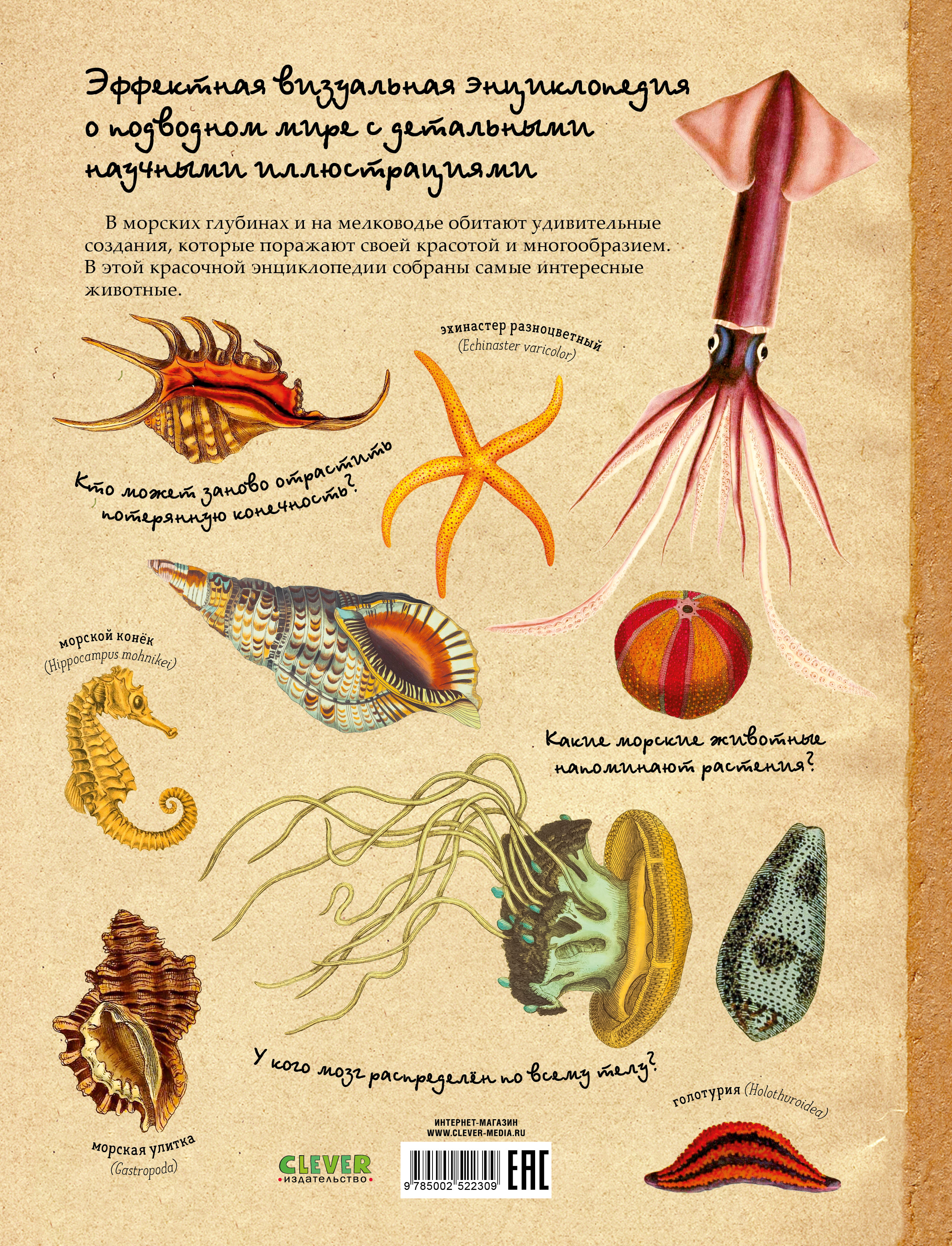 Книга Clever Удивительные энциклопедии - фото 7