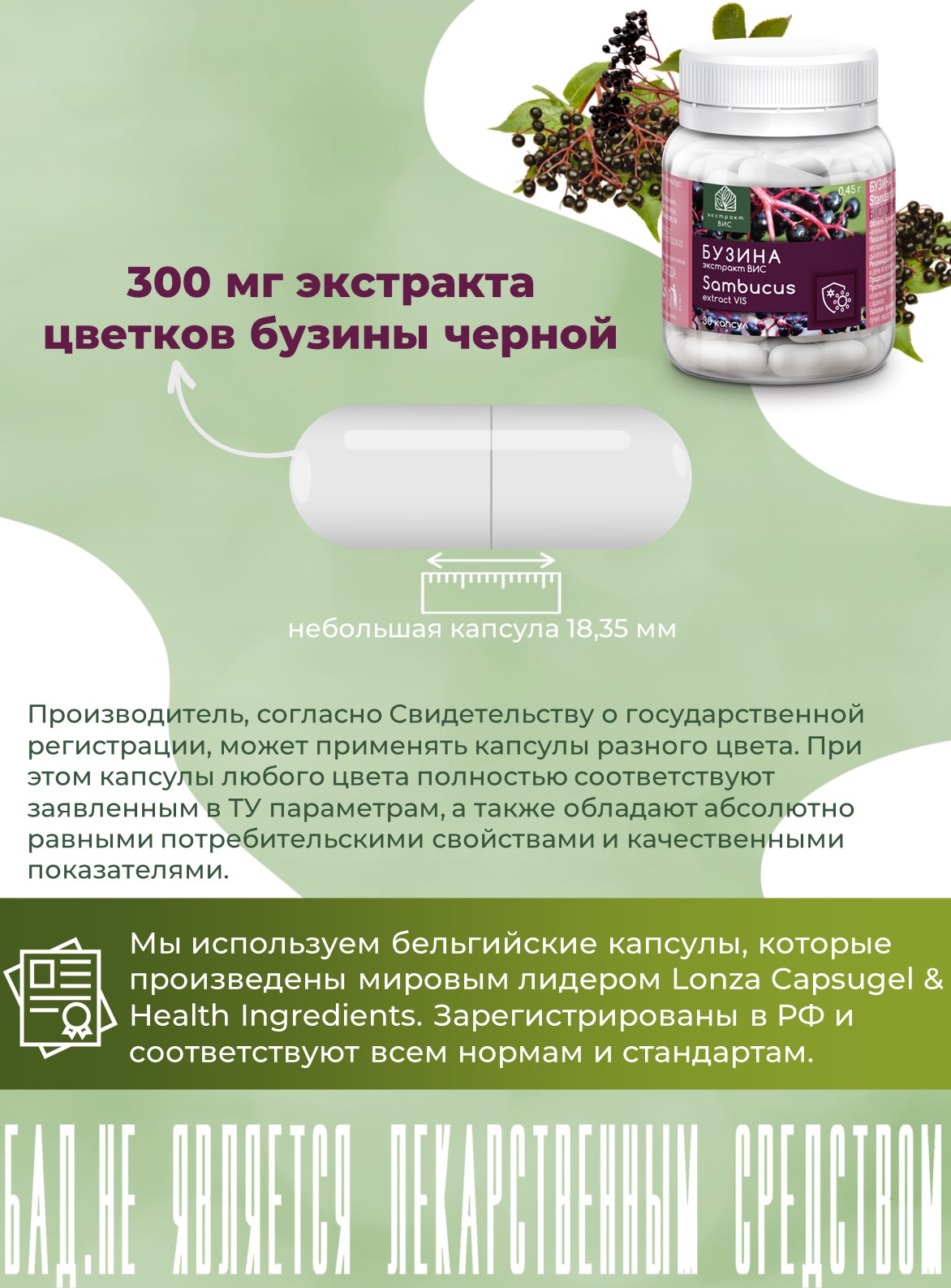 БАД Экстракт-ВИС Бузина капсулы №30 - фото 4