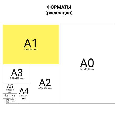 Ватман Brauberg 10 лист.