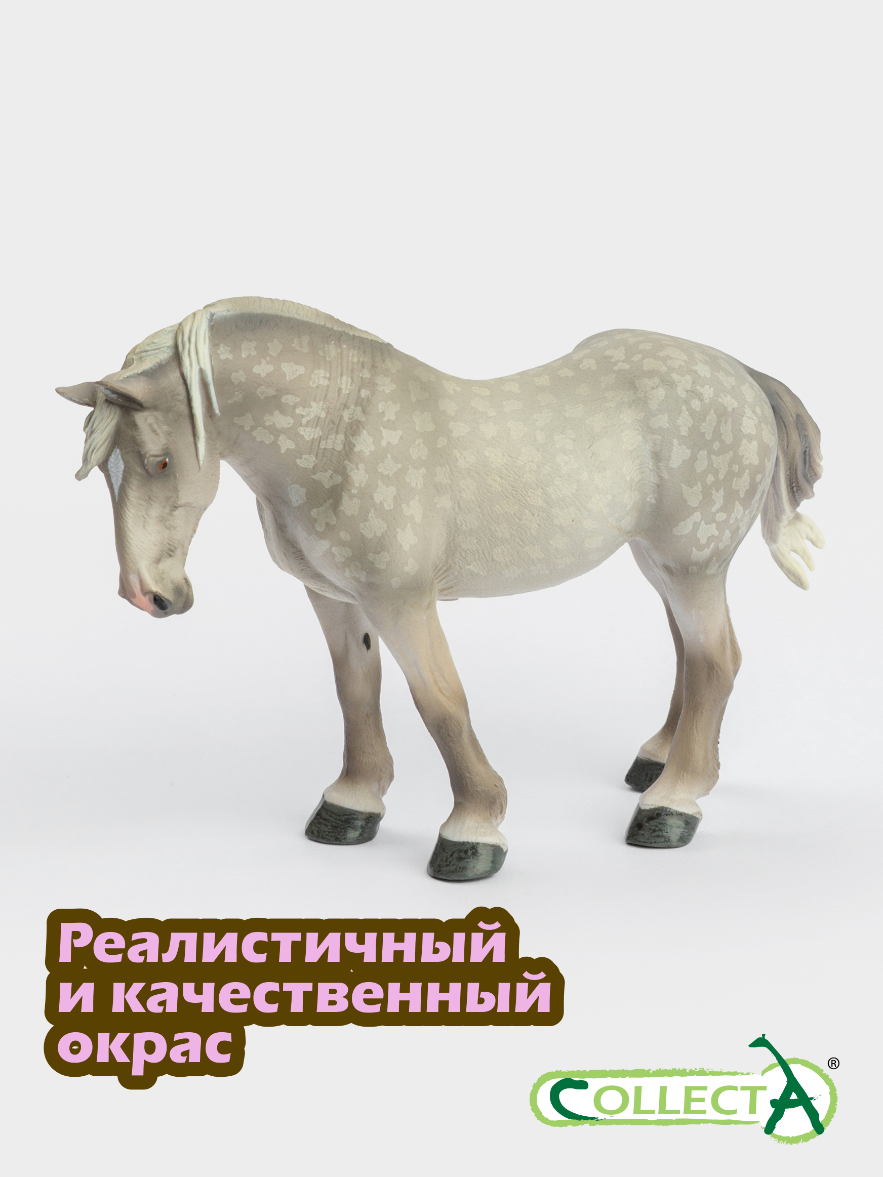Фигурка Collecta Першеронская лошадь, 10.9 см - фото 4