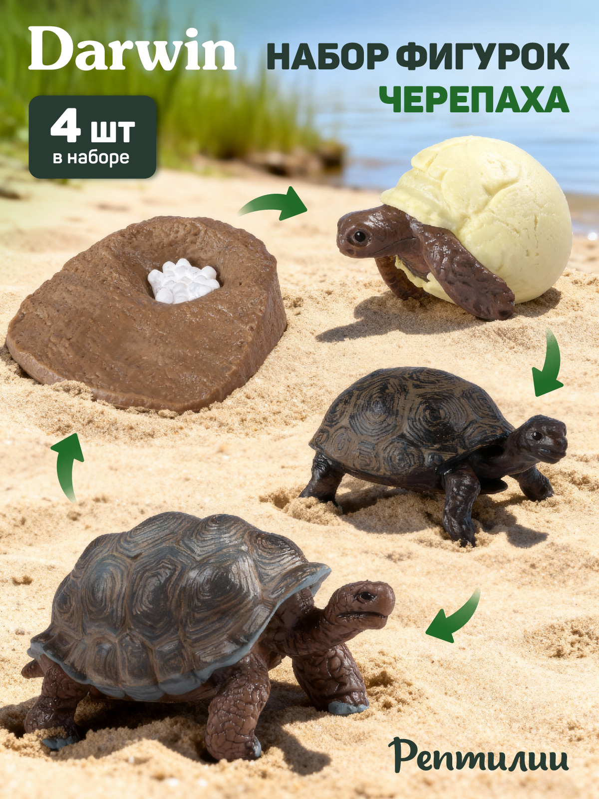 Игровой набор DARWIN Животные Черепаха - фото 1