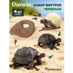 Игровой набор DARWIN Животные Черепаха