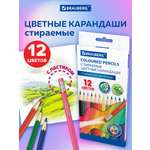 Карандаши цветные Brauberg 12 шт.