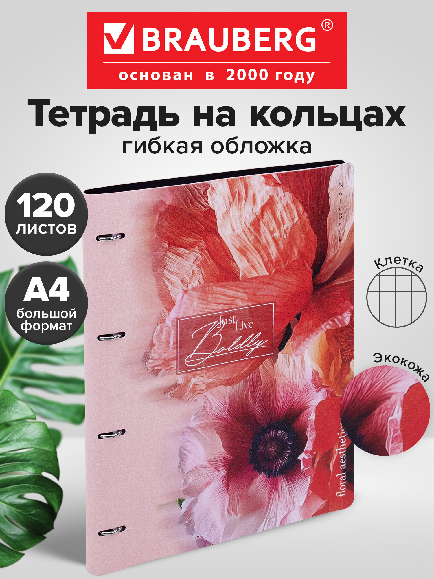 Тетрадь со сменным блоком Brauberg клетка 120 лист. - фото 1