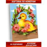 Картина по номерам Hobby Paint Уточка в ассортименте