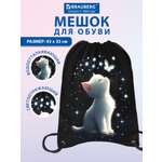 Мешок для обуви Brauberg