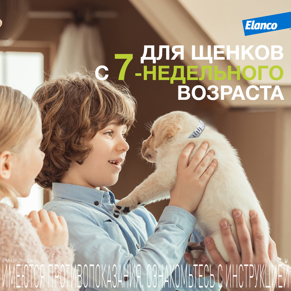 Ошейник для собак Elanco Foresto менее 8кг от блох и клещей защита 8месяцев 38см 65231 - фото 10