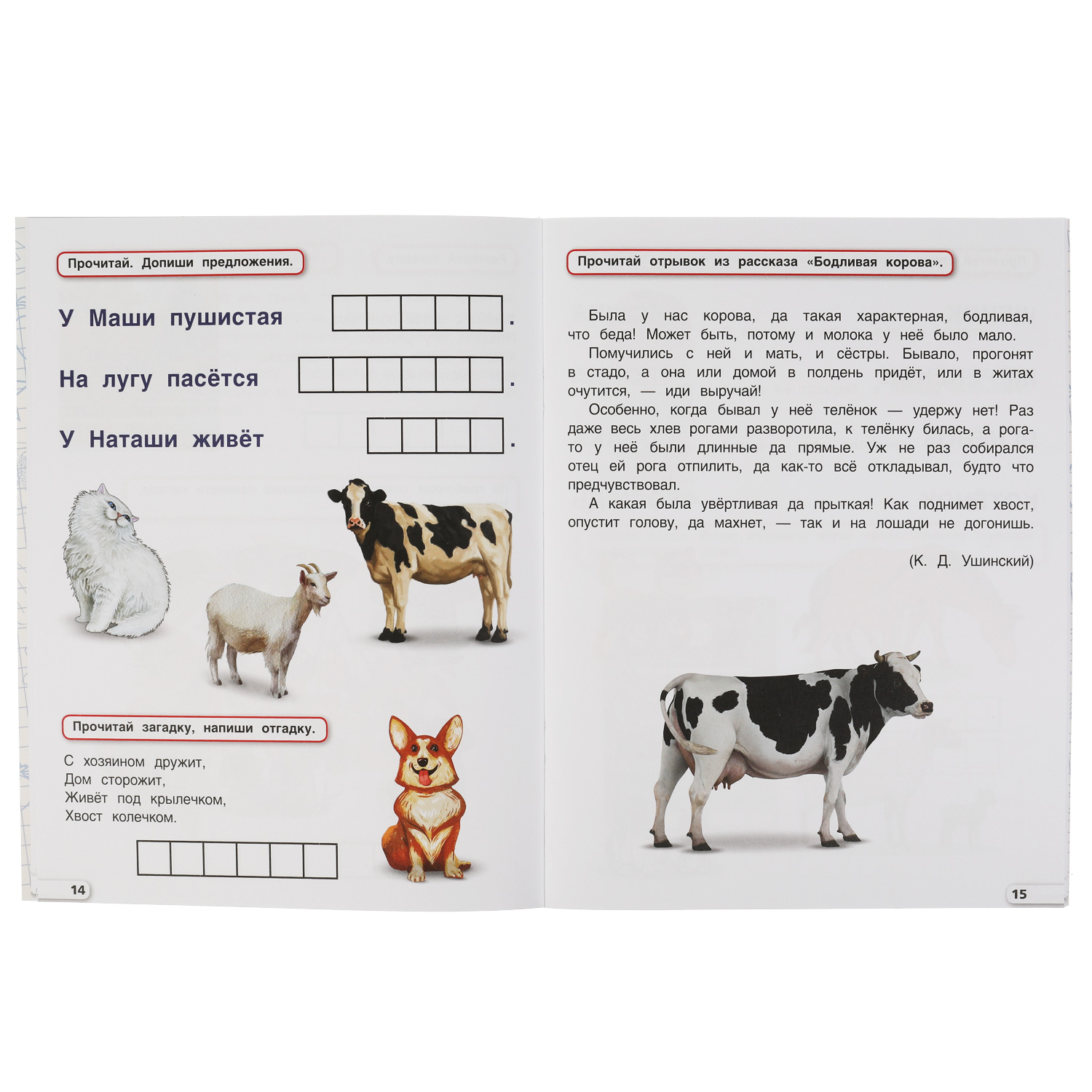 Книга УМка Годовой курс 6-7лет Колесникова - фото 2