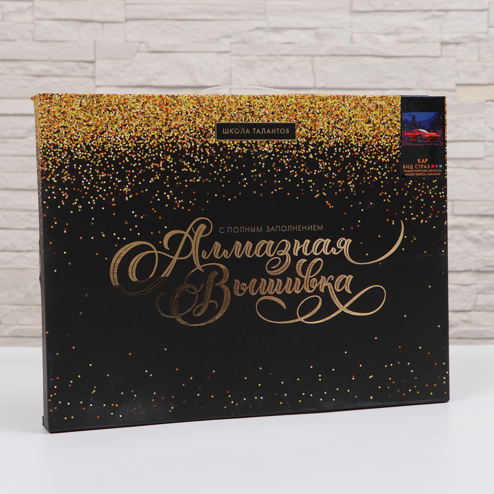 Алмазная мозаика Школа Талантов Кар - фото 3