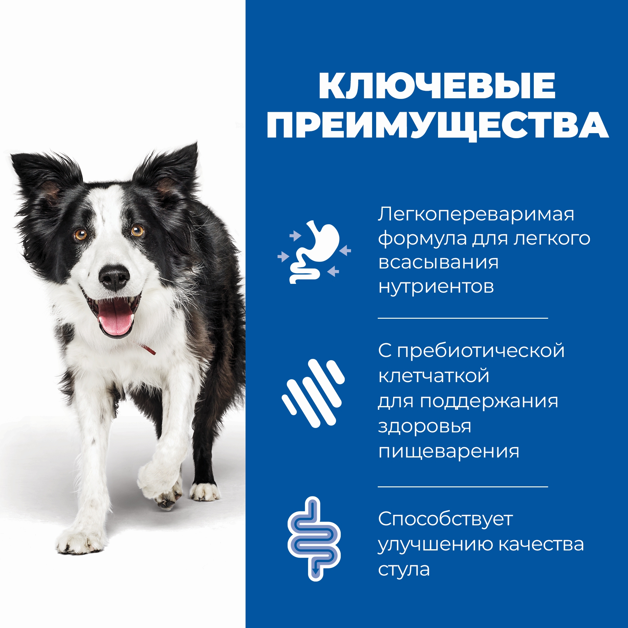 Корм для собак HILLS 1,5кг Prescription Diet i/d Low Fat Digestive Care с курицей диетический при растройствах пищевания с низким содержанием жира - фото 4