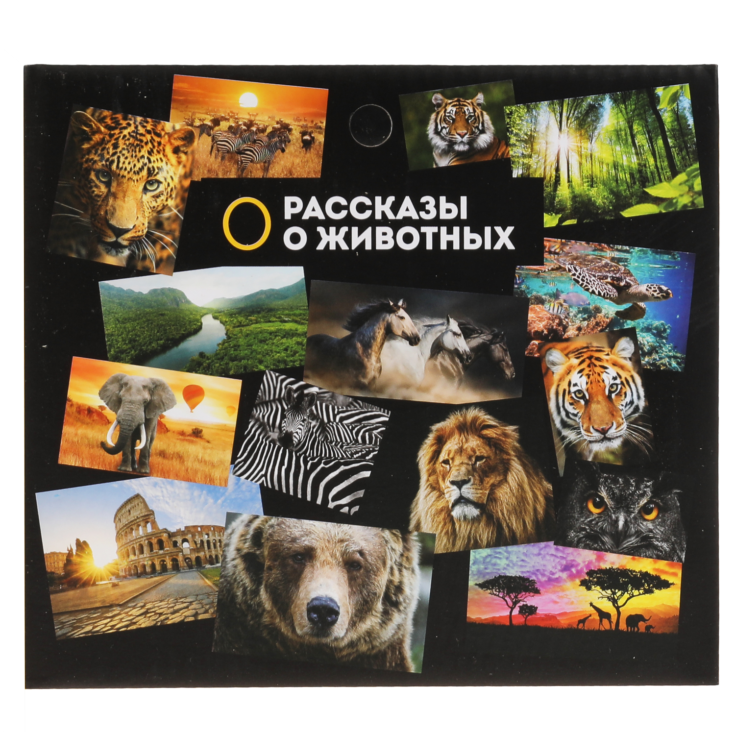 Игрушка Играем вместе - фото 7