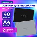 Альбом Brauberg А4 40 лист. 2 шт.