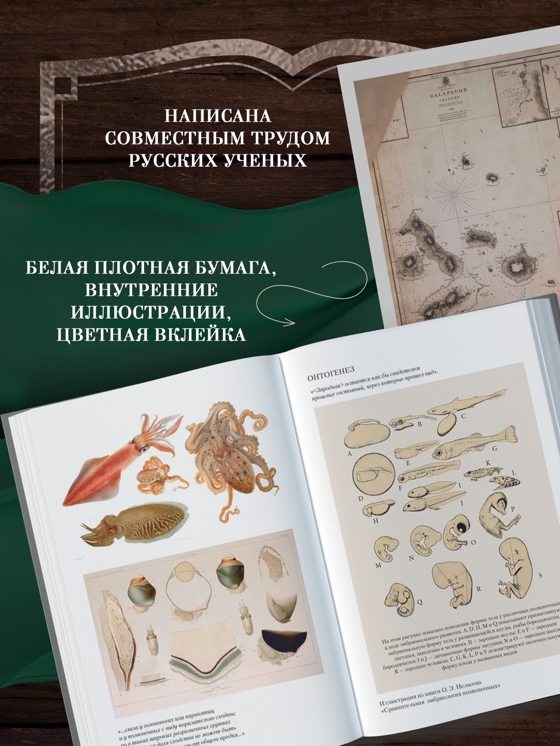 Книга АЗБУКА Происхождение видов путем естественного отбора - фото 5