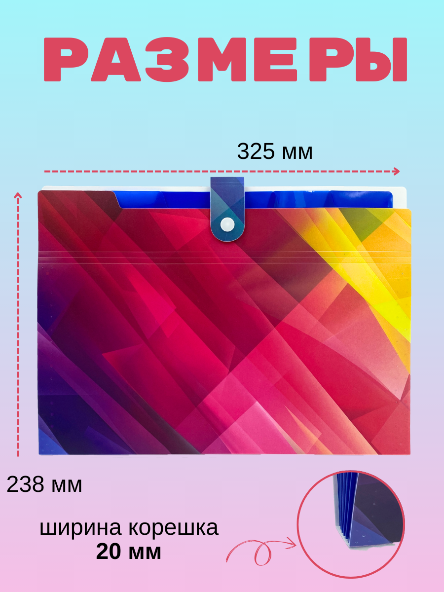 Папка-органайзер AXLER с разделителями А4 - фото 2