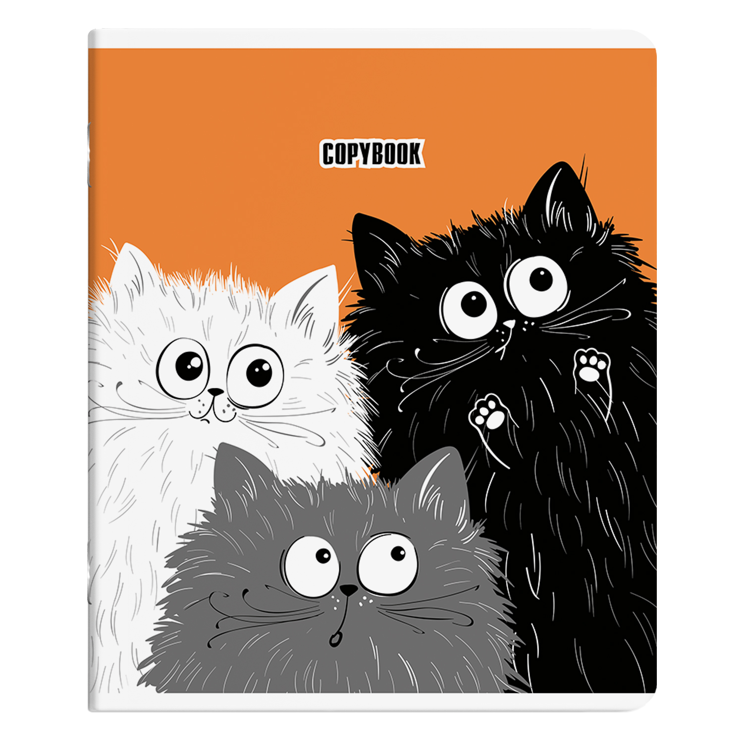 Общая тетрадь Erhaft клетка 48 лист. в ассортименте - фото 2