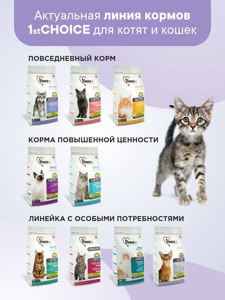 Корм сухой 1st Choice для котят Здоровый старт на курице 5.44кг - фото 9