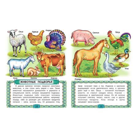 Книга Русич Первая книга знаний