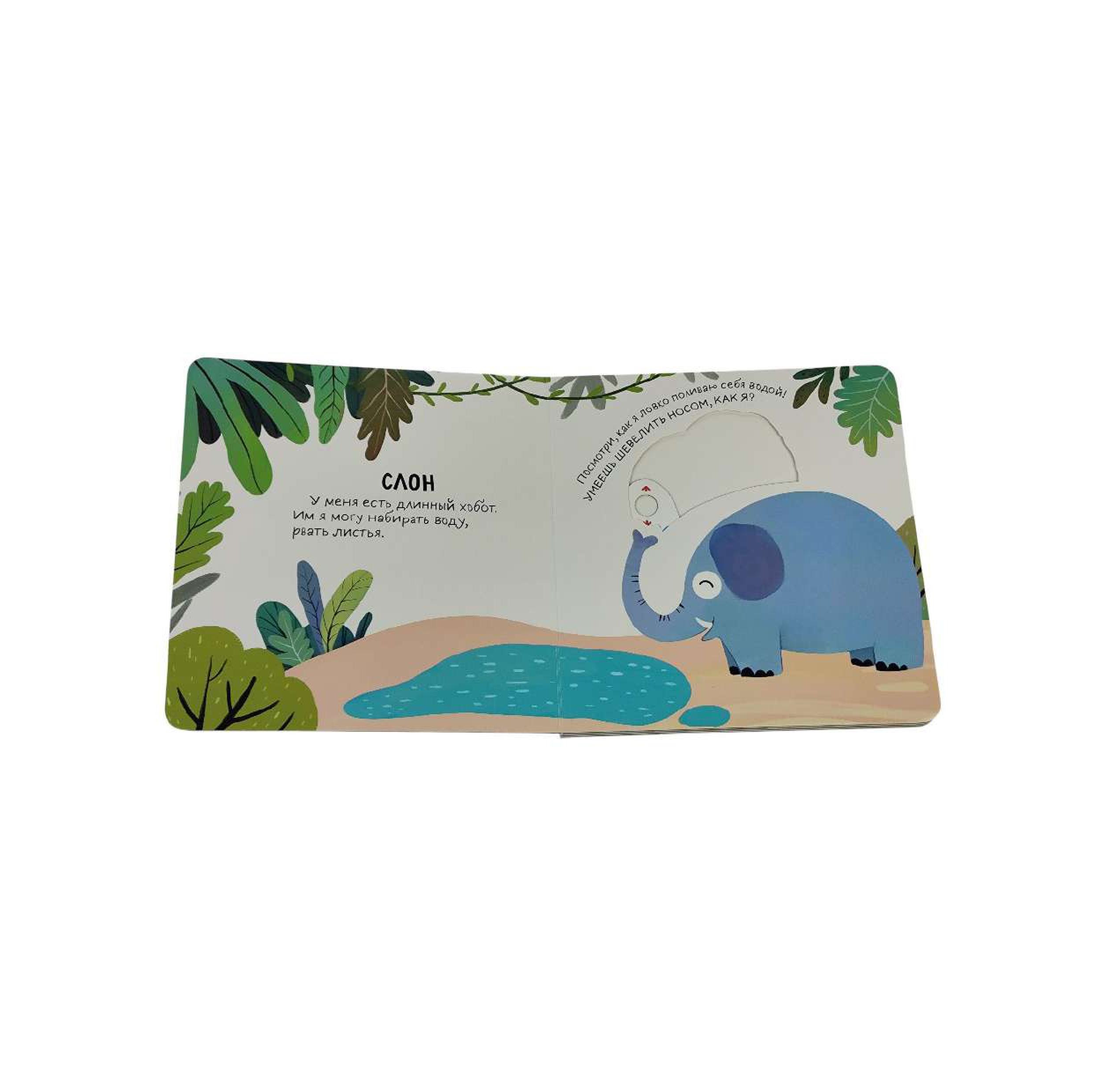 Книга Эксмо Смотрим играем В зоопарке - фото 7