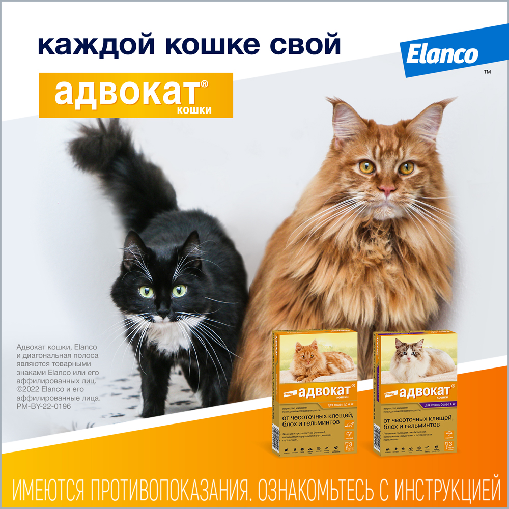 Препарат инсектоакарицидный для кошек Elanco Адвокат 0.8мл 3пипетки - фото 12