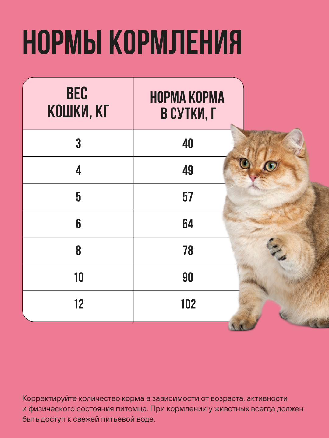 Корм сухой полнорационный BOWL WOW для стерилизованных кошек с ягненком курицей и клюквой 400г - фото 5