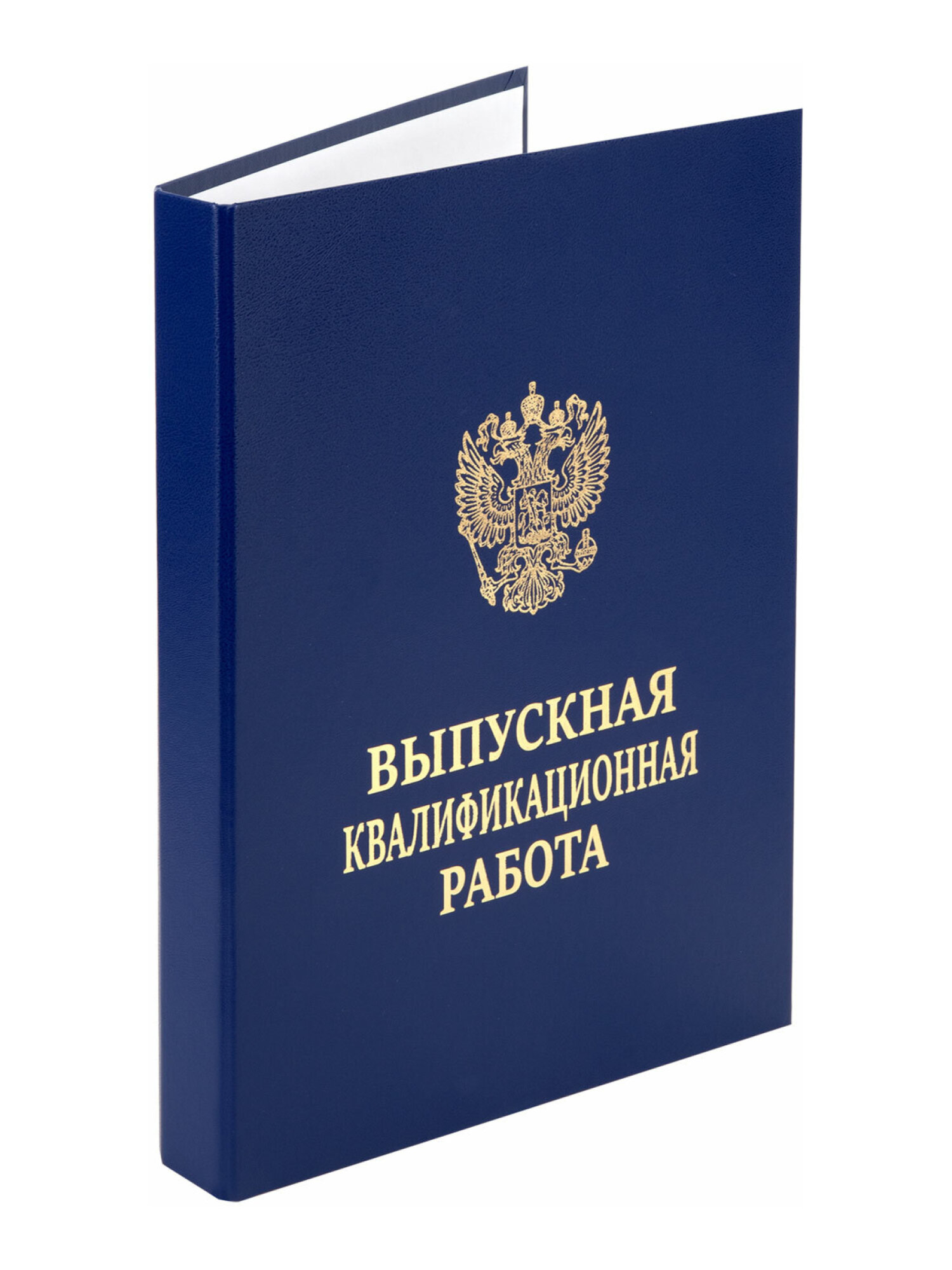 Папка-портфолио Staff А4 - фото 9