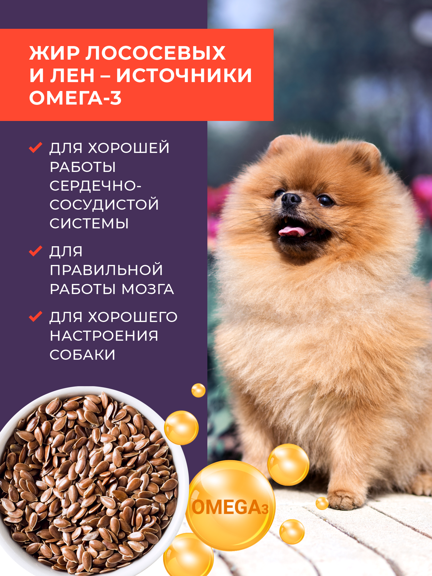 Сухой корм для собак GRANDHOLI Для породы шпиц Говядина с ягодами 1,5 кг - фото 10