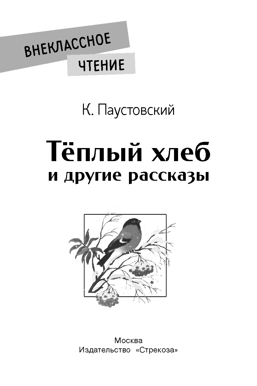 Книга СТРЕКОЗА Внеклассное чтение - фото 2