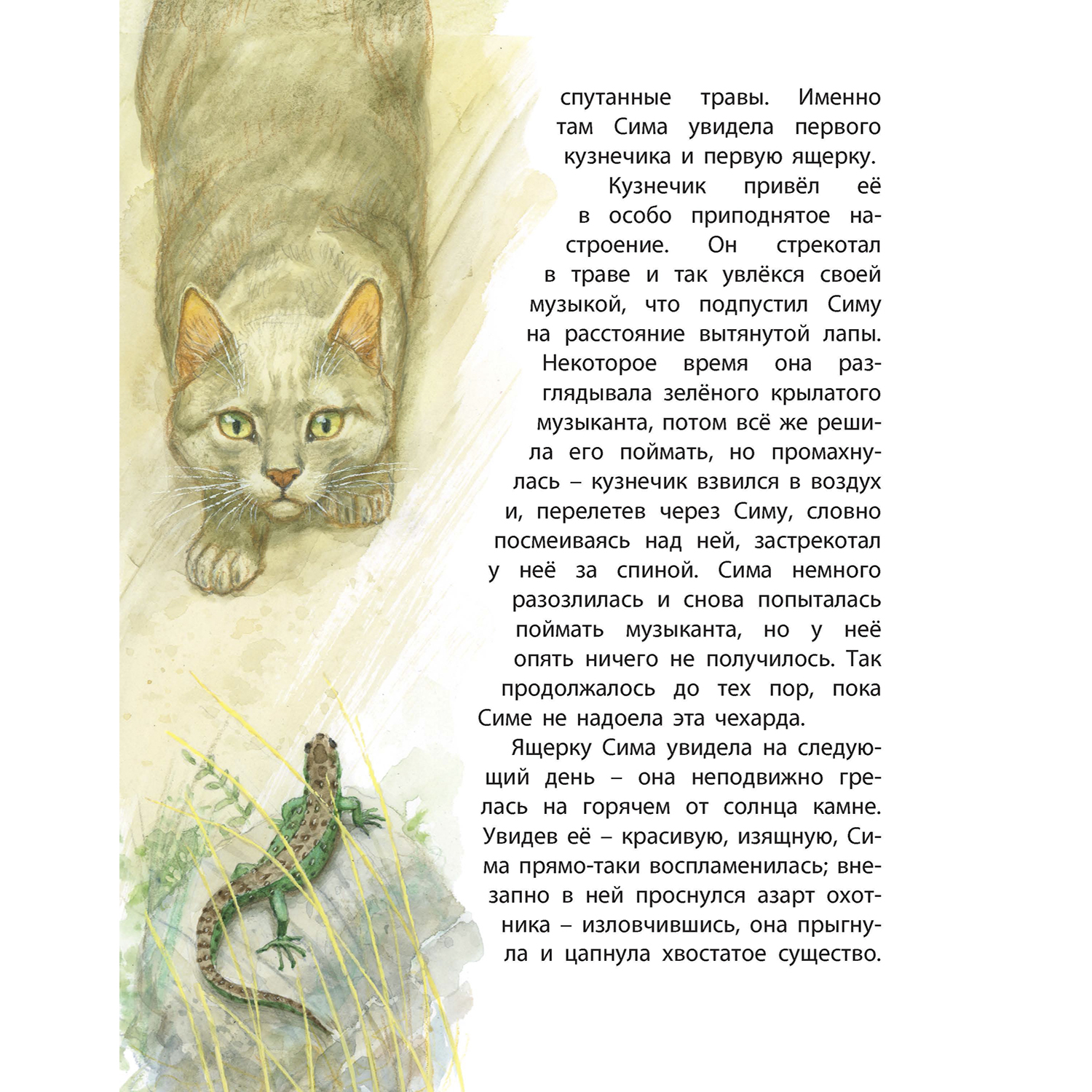 Книга ЭНАС-КНИГА Обыкновенные кошки - фото 6
