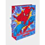 Пакет Marvel подарочный Супергерой