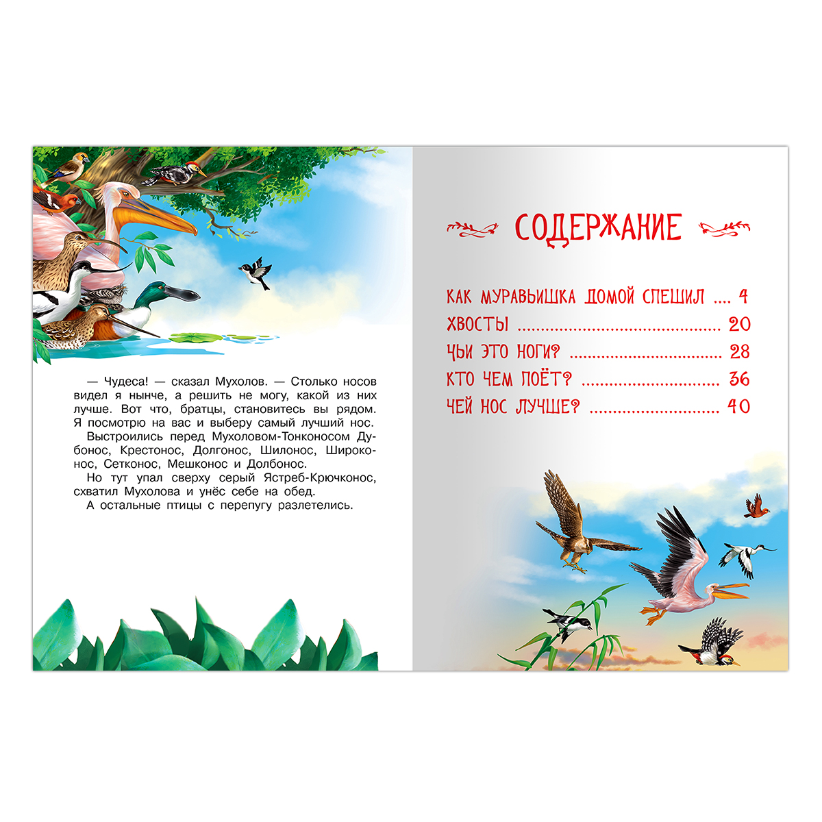 Книга Омега-Пресс Как Муравьишка домой спешил и другие сказки. Бианки В.В. - фото 2
