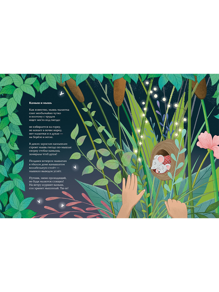 Книга Альпина. Дети Насекомыши. Стихи про насекомых и мышей - фото 3