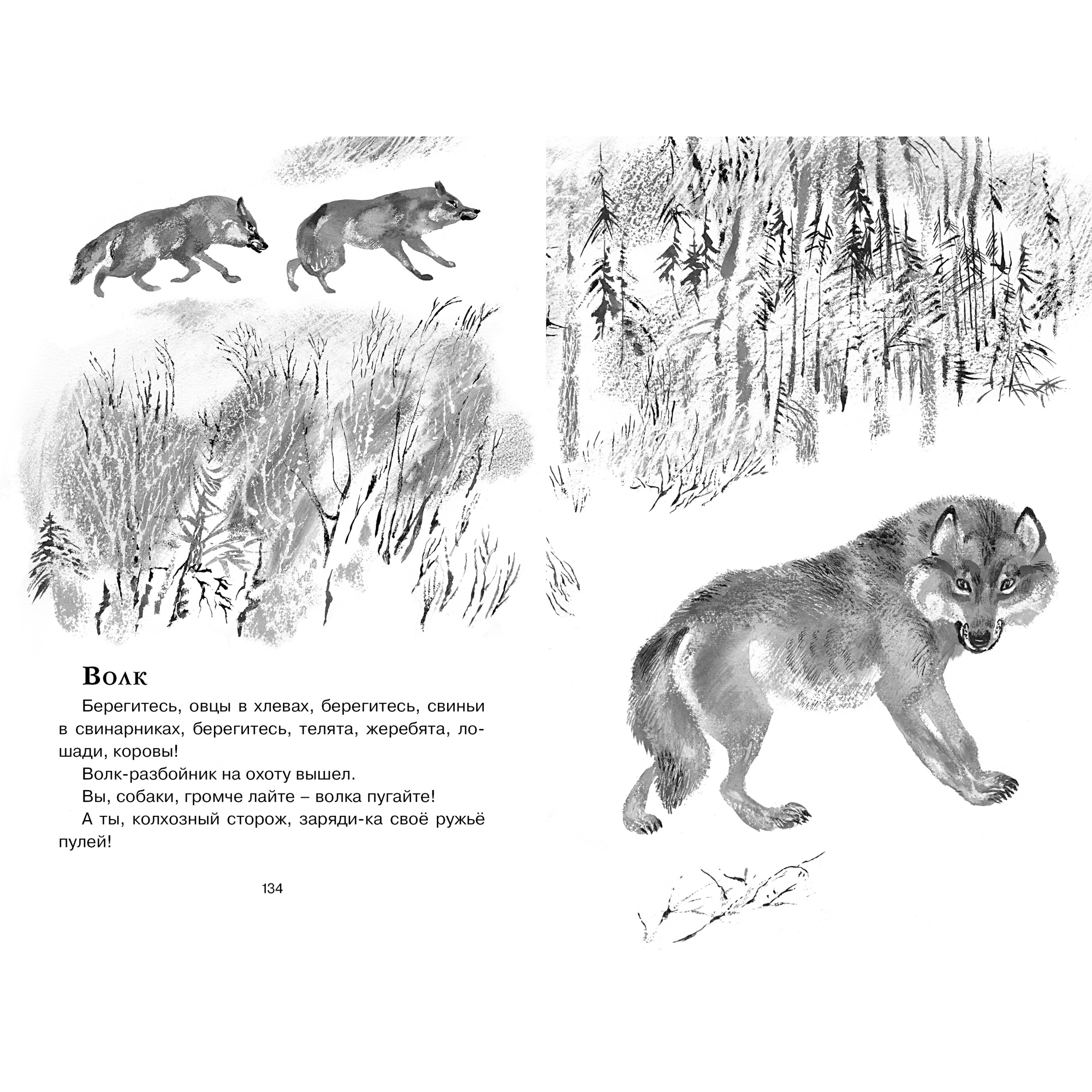 Книга МАХАОН Друзья Чарушин Е. - фото 6