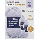 Пряжа Astra Premium Эвридика шерстяная 100 г 200 м 03 светло-серый 3 мотка