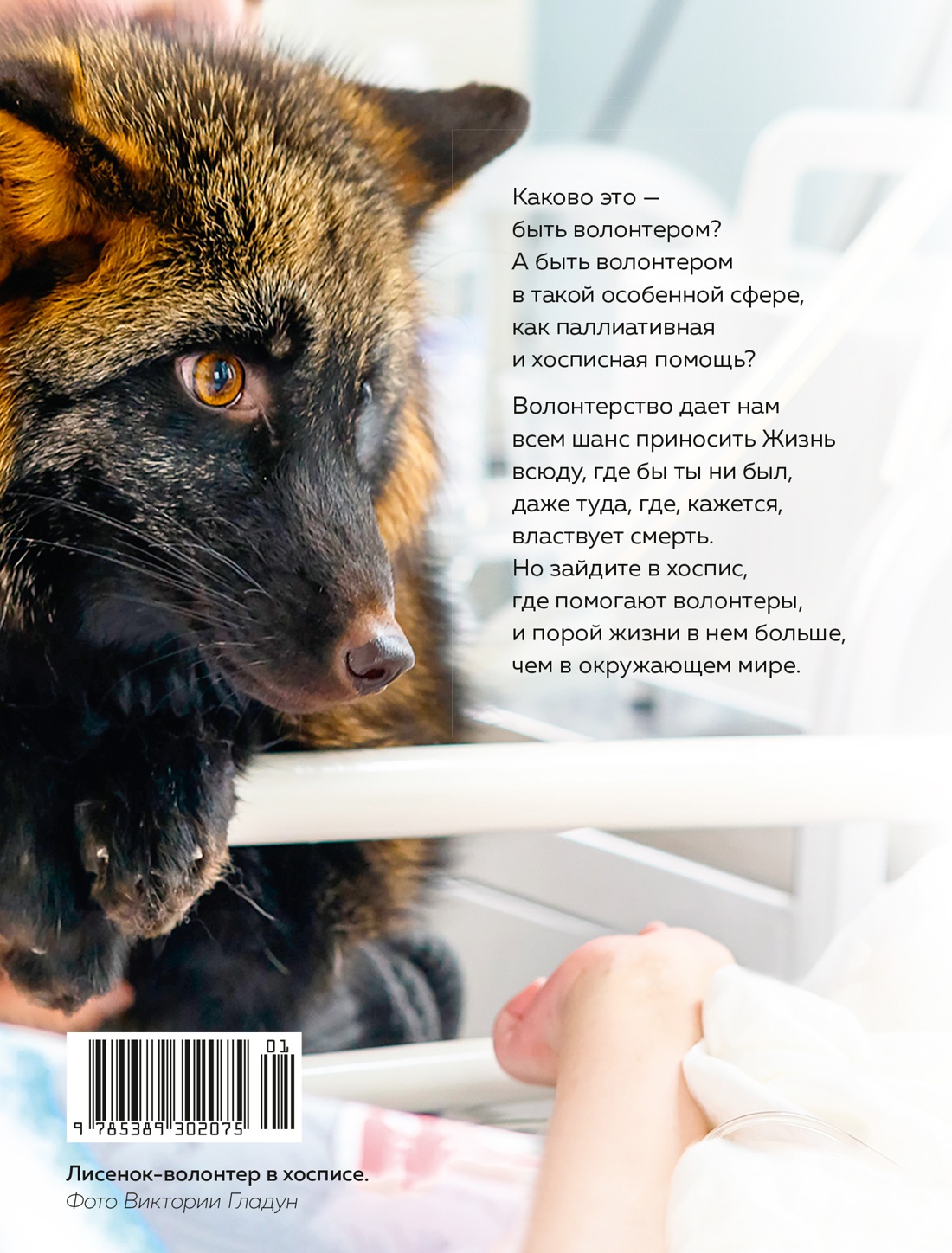 Книга КОЛИБРИ Федермессер Н. Быть волонтером Персона - фото 3