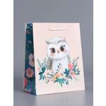 Пакет подарочный Арт и Дизайн Мудрая совушка бежевый - бирюзовый 18×22.3×10 см