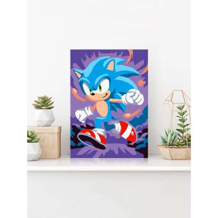 Картина по номерам Hobby Paint Ёж Соник в ассортименте