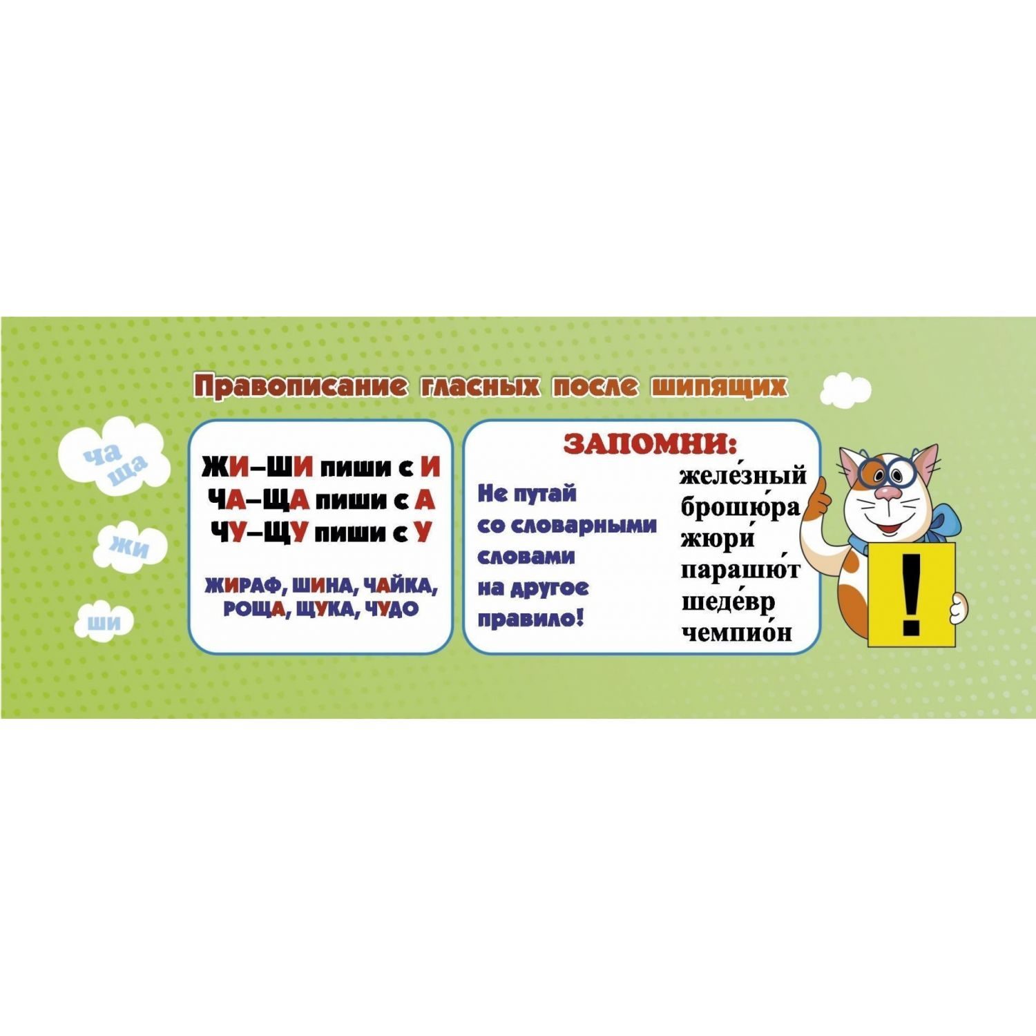 Касса-веер Учитель Русский язык - фото 5