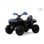 Квадроцикл RIVERTOYS E009EE-BLUE С пультом ДУ