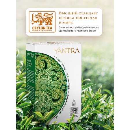 Чай Классик Yantra зеленый листовой стандарт Young Hyson 100 г