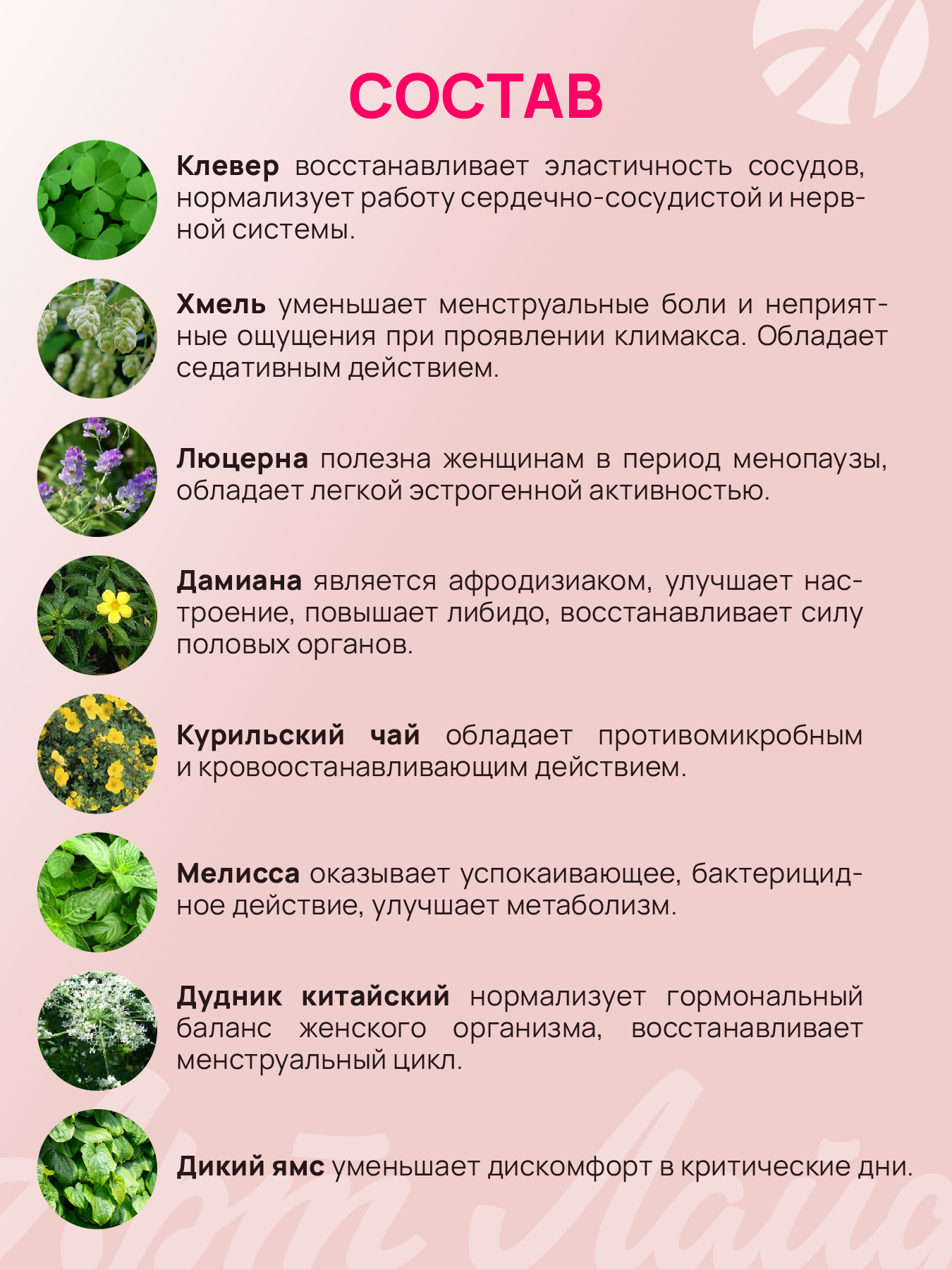 Концентрированный напиток Арт Лайф Фитоэстрин Негормональный комплекс фитоэстрогенов - фото 5