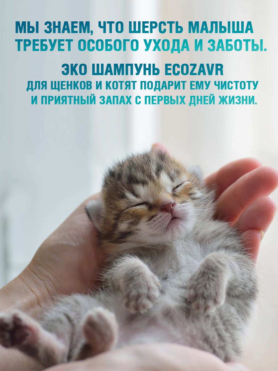 Шампунь для котят и щенков ECOZAVR Эко с антибактериальным эффектом Зеленый чай 500мл - фото 5