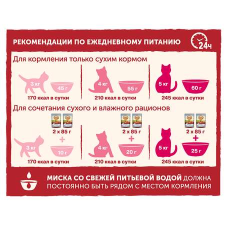 Корм сухой для кошек Natures Table 190г с лососем