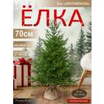 Ель Златовласка Поезд Ёлок литая 70 см