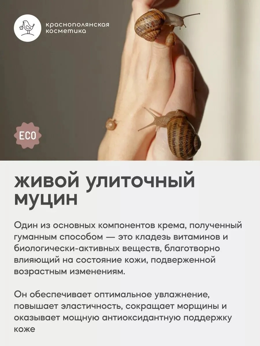 SNAILLAB Набор косметики: Тоник для лица с муцином и ниацинамидом, 150 мл + Крем для лица с муцином и ниацинамидом, 30 мл - фото 5