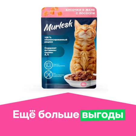 Корм для кошек Murlesk лосось в желе 75г