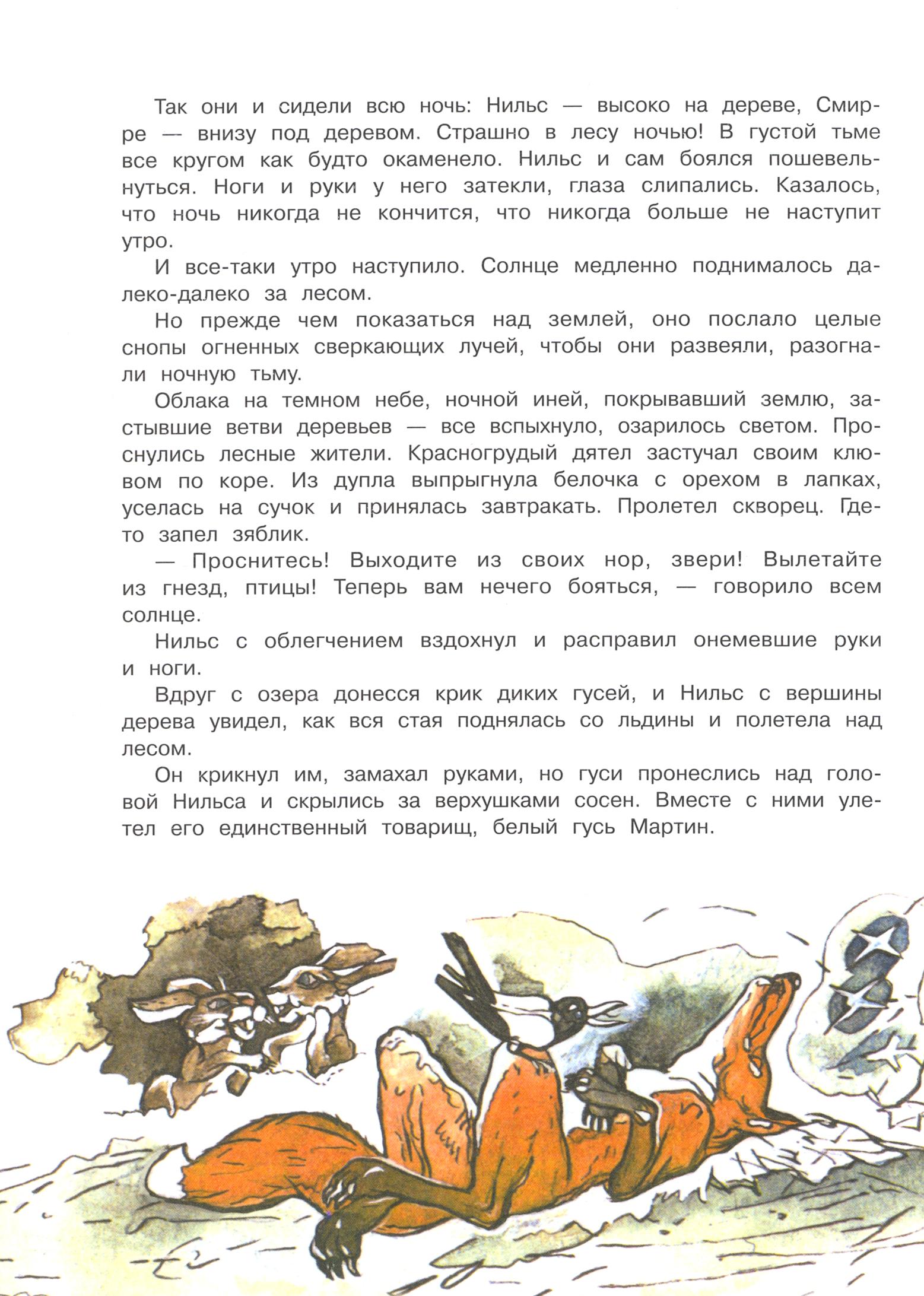 Книга Стрекозa Чудесное путешествие Нильса с дикими гусями - фото 8