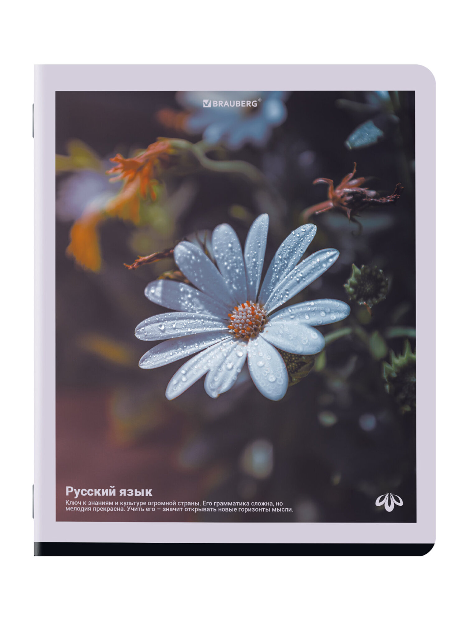 Тетрадь Brauberg 48 лист. 12 шт. - фото 16