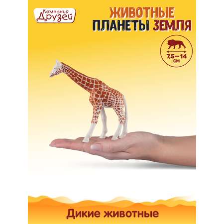 Игровой набор DARWIN Животные Жирафы и носороги 4шт