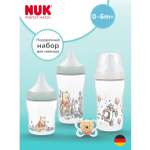 Набор для новорожденного Nuk Perfect match